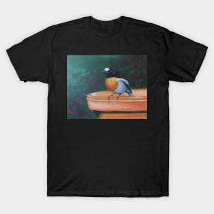 Scarlet Robin T-Shirt